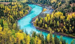 喀纳斯景区爆料视频,绝美风光引网友热议，揭秘神秘自然奇观