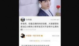 卓伟爆料何炅最新消息