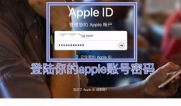 国际服内鬼爆料视频大全,视频大全深度解析