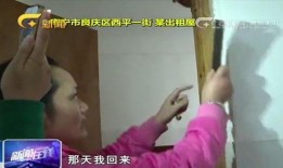 第三者爆料怀孕视频大全,揭秘娱乐圈惊人内幕