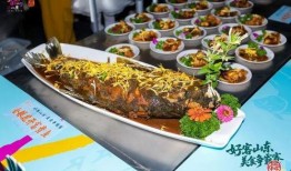 泉城爆料美食视频大全下载,视频大全下载，尽享地道风味