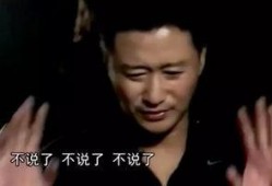 谢楠爆料吴京的视频,揭秘动作巨星背后的奋斗历程