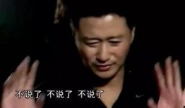 谢楠爆料吴京的视频,揭秘动作巨星背后的奋斗历程