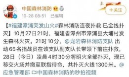 福建省爆料新闻事件,真相背后引发社会关注