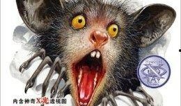 夜行动物在线观看,暗夜魅影，激情燃烧的都市冒险