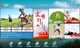 阿乐农家爆料视频大全集,揭秘乡村生活点滴