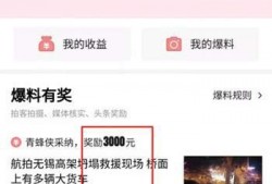 今日头条春节爆料视频,今日头条独家爆料带你领略年味儿新风尚