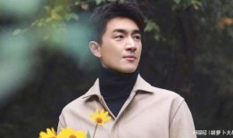 刘大锤爆料张彬彬视频,揭秘幕后故事