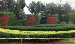 万绿园命案天涯爆料视频,天涯爆料视频揭露惊人真相