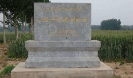 大连营城子爆料案件最新,真相渐明，疑云终散