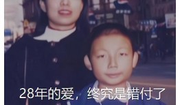 刘聪陈律闺蜜的爆料视频,视频爆料引发热议