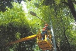 成都武侯祠最新爆料,历史遗迹焕新颜，文化传承再升级