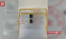 娱乐吃瓜酱宠物疫苗本,吃瓜酱带你全面了解宠物疫苗接种知识