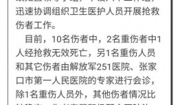 央视新闻爆料者名单,背后故事引关注