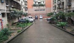 重庆花园爆料视频播放,揭秘神秘花园背后的故事