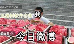 各种吃瓜爆料视频大全,揭秘娱乐圈幕后真相