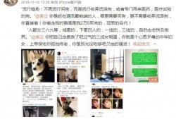 袁立偷狗的爆料视频,真相揭露与舆论风波