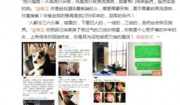 袁立偷狗的爆料视频,真相揭露与舆论风波
