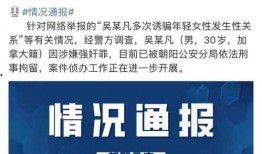 新闻报道持续爆料违法吗,新闻自由的边界与责任