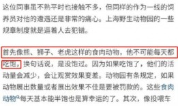 揭西今日爆料事件视频曝光,视频曝光事件引发热议