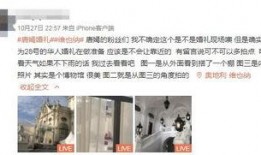 哈罗网民最新爆料,揭秘最新网络热点背后的真相