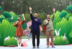 南宁龙岗命案最新爆料视频,细节惊人，案情再起波澜