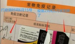 娱乐吃瓜酱宠物疫苗本,吃瓜酱带你全面了解宠物疫苗接种知识