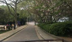 甘棠公园爆料事件视频,真相究竟如何？