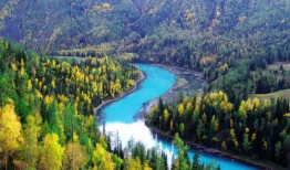 喀纳斯景区爆料视频,绝美风光引网友热议，揭秘神秘自然奇观