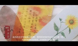 《信笺故事》在线观看,穿越时空的温情对话