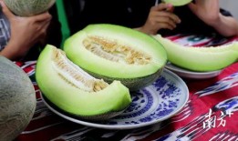 17吃瓜一起免费吃瓜,免费共享瓜界狂欢