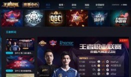 电竞王者爆料视频下载大全,下载大全揭秘幕后精彩瞬间