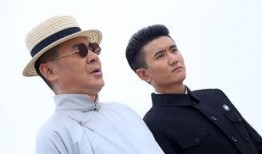 兄弟兄弟全集在线观看,一部家族史诗的悲欢离合