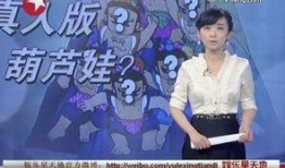 厦视新闻主持人爆料视频,揭秘背后惊人真相