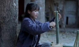 古风网红爆料视频,穿越时空的网红传奇