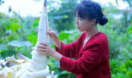 古风网红爆料视频,穿越时空的网红传奇