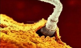 叶子爆料全过程视频,揭秘事件真相与幕后故事