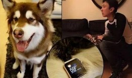 狗子爆料周冬雨视频大全,揭秘明星幕后趣事