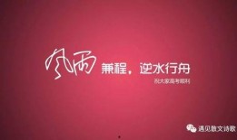 新闻热点爆料感动励志,新闻热点中的感动励志故事