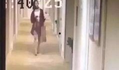 万绿园命案天涯爆料视频,天涯爆料视频揭露惊人真相