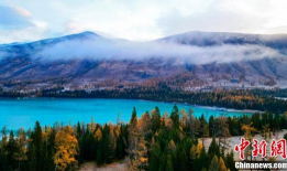 喀纳斯景区爆料视频,绝美风光引网友热议，揭秘神秘自然奇观