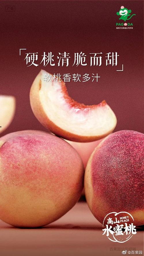 娱乐吃瓜解说文案大全,吃瓜文案大全，带你领略幕后风云